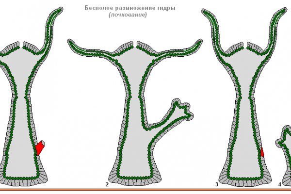 Кракен даркнет сайт ссылка