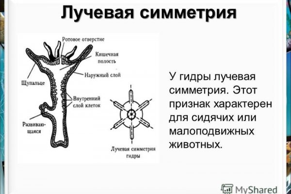 Как зарегистрироваться в kraken